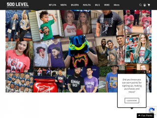 500level.com screenshot