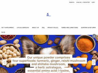 a-plus-consulting.com screenshot
