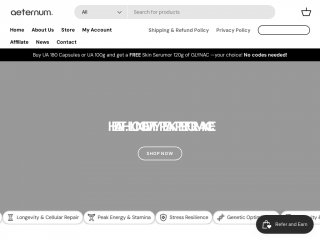 aeternum.site screenshot