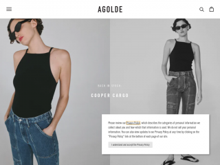 agolde.com screenshot