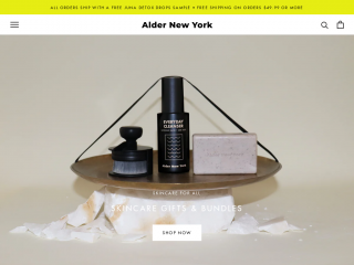 aldernewyork.com screenshot