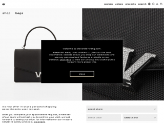 alexanderwang.com screenshot