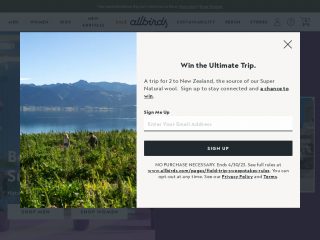 allbirds.com screenshot