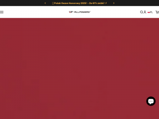 allpowers.com.pl screenshot