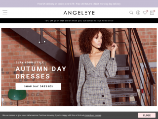 angeleyefashion.com screenshot