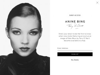 aninebing.com screenshot