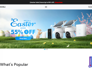 aosulife.com screenshot