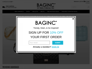 baginc.com screenshot