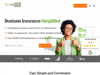 bizinsure.com screenshot