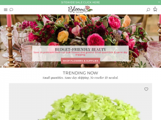 bloomsbythebox.com screenshot