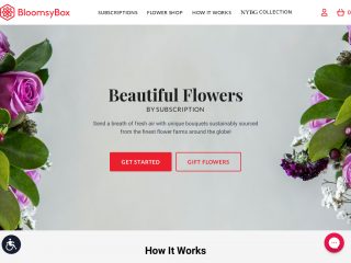 bloomsybox.com screenshot