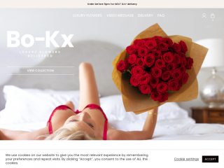 bo-kx.com screenshot
