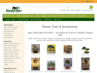 bonsaiboy.com screenshot