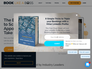 booklikeaboss.com screenshot