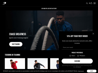 boxraw.com screenshot