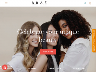 braeusa.com screenshot