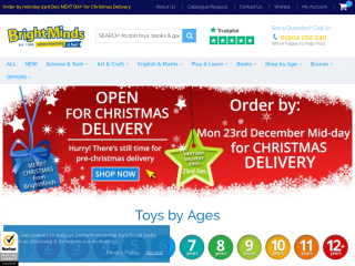 brightminds.co.uk screenshot