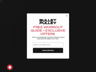 bulletpulley.com screenshot