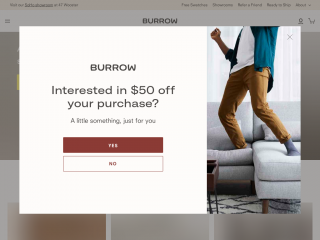 burrow.com screenshot