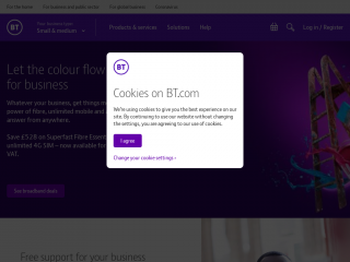 business.bt.com screenshot