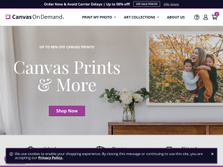 canvasondemand.com screenshot