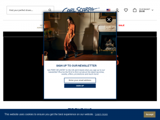 carlscarpa.com screenshot