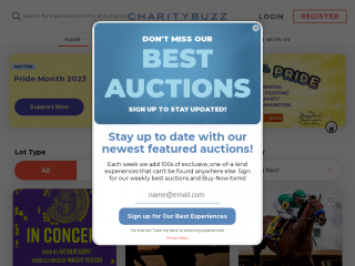 charitybuzz.com screenshot