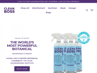 cleanboss.co screenshot