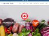 cleholistichealth.com coupons