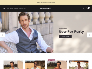 coofandystore.com screenshot