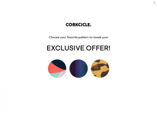 corkcicle.com screenshot