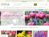 crocus.co.uk coupons