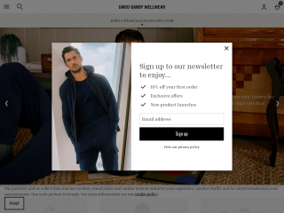 davidgandywellwear.com screenshot