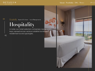 detailshotels.com screenshot