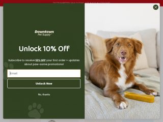 downtownpetsupply.com screenshot