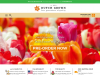 dutchgrown.com coupons