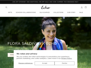 echonewyork.com screenshot