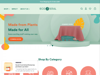 ecosoulhome.com screenshot