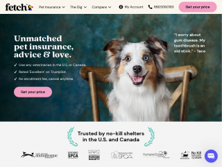 fetchpet.com screenshot