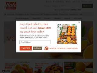 halegroves.com screenshot