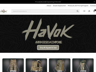 havoksolutions.com screenshot