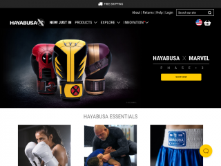 hayabusafight.com screenshot