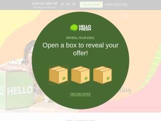 hellofresh.com screenshot