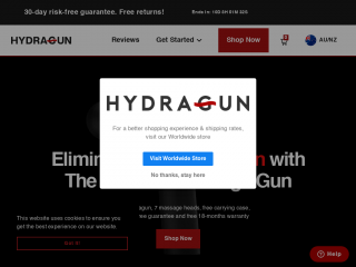 hydragun.com.au screenshot