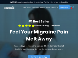 icebeanie.com screenshot