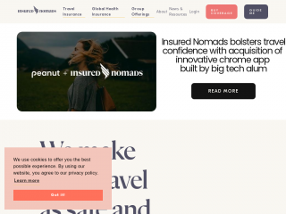 insurednomads.com screenshot