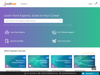 intellipaat.com screenshot