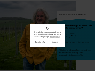 jamesgin.com screenshot