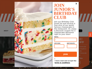 juniorscheesecake.com screenshot