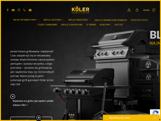 koler.pl screenshot